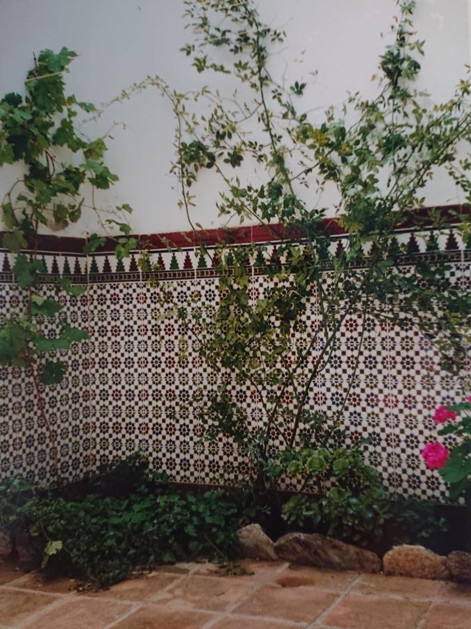 Un Balcon A Sierra Nevada Villa Lecrin Ngoại thất bức ảnh